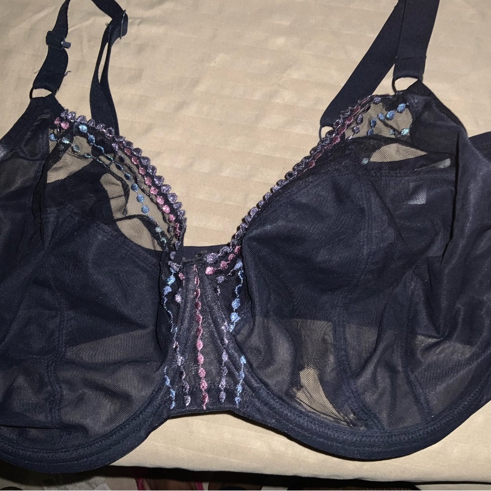 Elomi Black Sheer Underwire Bra with Pink & Blue Embroidery